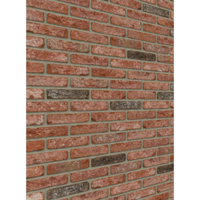 Cheyenne baksteenstrip HV/WF 21x5 cm