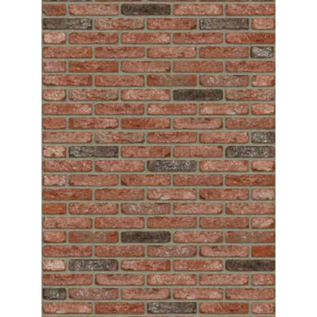 Cheyenne baksteenstrip HV/WF 21x5 cm