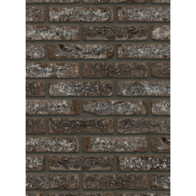 Jackson  baksteenstrip HV/WF 21x5 cm