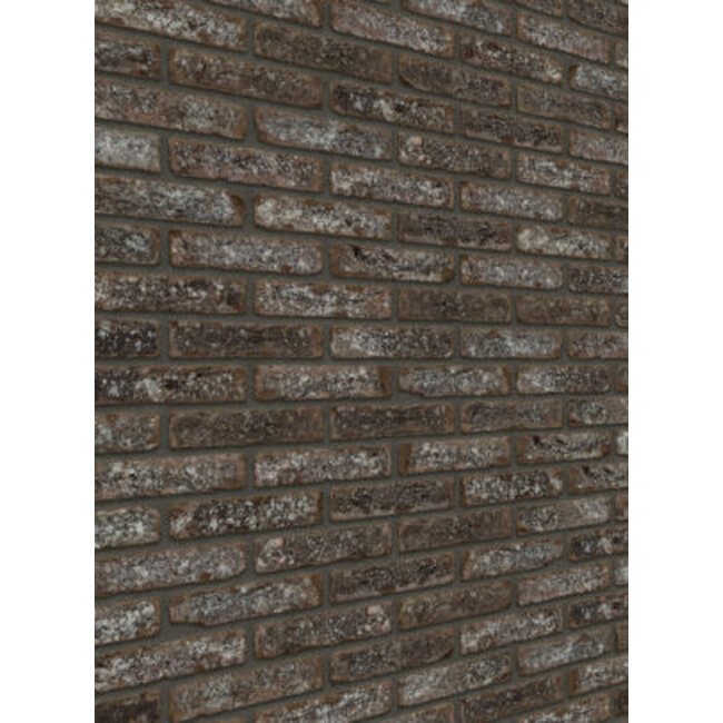 Jackson  baksteenstrip HV/WF 21x5 cm