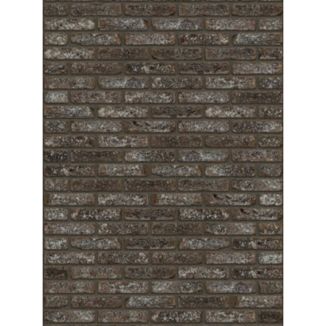 Jackson  baksteenstrip HV/WF 21x5 cm