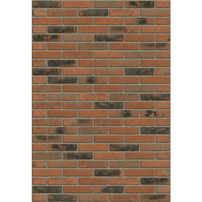 Salmon red flame baksteenstrip HV/WF 21x5 cm - per m²