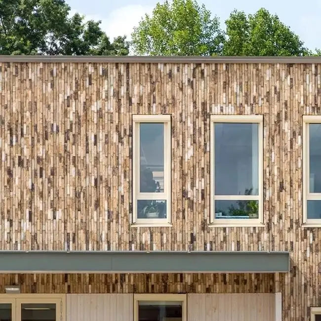 Van der Sanden E-board® 40 millimeter inclusief steenstrips