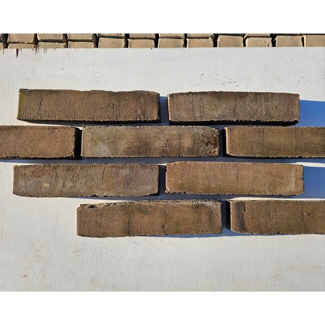 Merweede baksteenstrip WS/WF 21x5 cm  - per 0.5 m²
