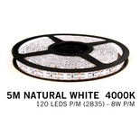 Applamp Neutraler weißer LED-Streifen 120 Leds p.m. - 5M - Typ 2835 - 12V - 8 W p.m.
