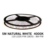 Applamp Neutraler weißer LED-Streifen 120 Leds p.m. - 5M - Typ 2835- 12V - 8 W p.m.