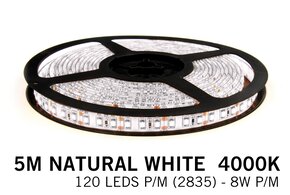 Applamp Neutraler weißer LED-Streifen 120 Leds p.m. - 5M - Typ 2835 - 12V - 8 W p.m.