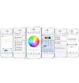 LED Magical RGB & RGBW Bluetooth Controller | 12-24 Volt 4x4 Ampere