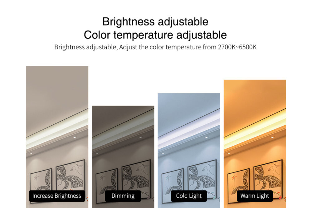 MiLight Doppelter weißer LED-Streifen-Controller 12A, 12V-24V (LOS)