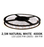 Applamp Neutraler weißer LED-Streifen 120 Leds p.m. - 2.5M - Typ 2835- 12V - 8 W p.m.