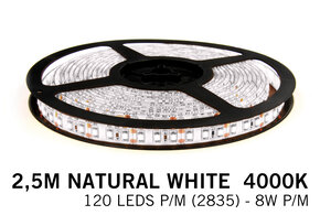 Applamp Neutraler weißer LED-Streifen 120 Leds p.m. - 2.5M - Typ 2835 - 12V - 8 W p.m.