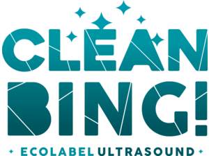 CleanBing