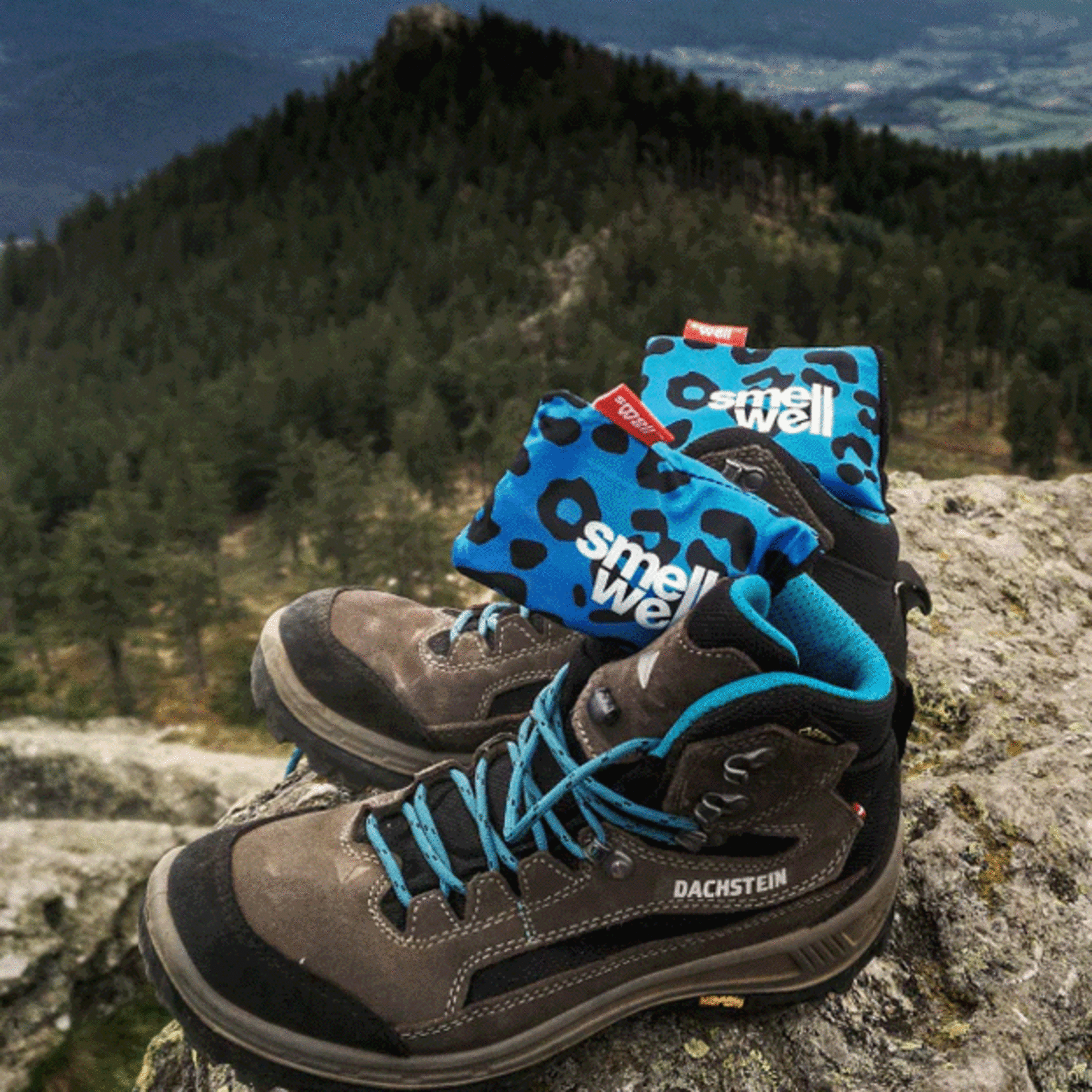 Smellwell Active prepack /8 colors / 3 x per color / 24 pair