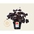 Heuchera 'Black Beauty'