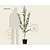 Malus domestica 'James Grieve' - laagstam