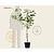 Prunus avium 'Sam' - laagstam