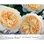 Rosa 'Crocus Rose'
