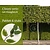 Lei-Haagbeuk - Classic - pakket 6 stuks + EXTRA'S!
