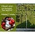 Lei-Sierappel 'Red Sentinel' - Classic - pakket 2 stuks + EXTRA'S!