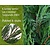 Lei-Conifeer leylandii - Classic - pakket 6 stuks + EXTRA'S!