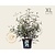Viburnum 'Pragense' - XL