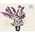 Cercis canadensis 'Forest Pansy' - XL