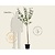 Prunus domestica 'Reine Claude Verte' - halfstam