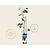 Vitis vinifera 'Muscat Blue'