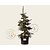 Picea pungens 'Koster' 80/100