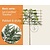 Lei-Conifeer 'Excelsa' - Basic - pakket 6 stuks + EXTRA'S!