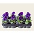 Alleen in winkel Viool Grootbloemig 'Delta Neon Violet' - Tray 12 st.