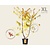 Rhus typhina 'Golden Selection' - XL