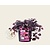 Loropetalum chinense 'Ruby Runner'
