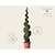 Thuja occidentalis 'Smaragd' - spiraal 200/220 cm