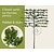 Lei-Parrotia - Classic - pakket 6 stuks + EXTRA'S!