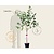 Prunus avium 'Hedelfinger' - laagstam