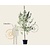 Malus domestica 'Elstar' - halfstam extra