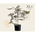 Acer palmatum 'Garnet' - XL+