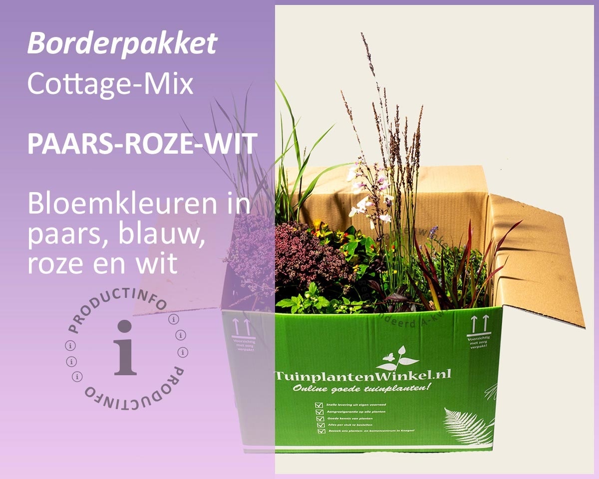 Borderpakket Cottage Mix - Paars-Roze-Wit