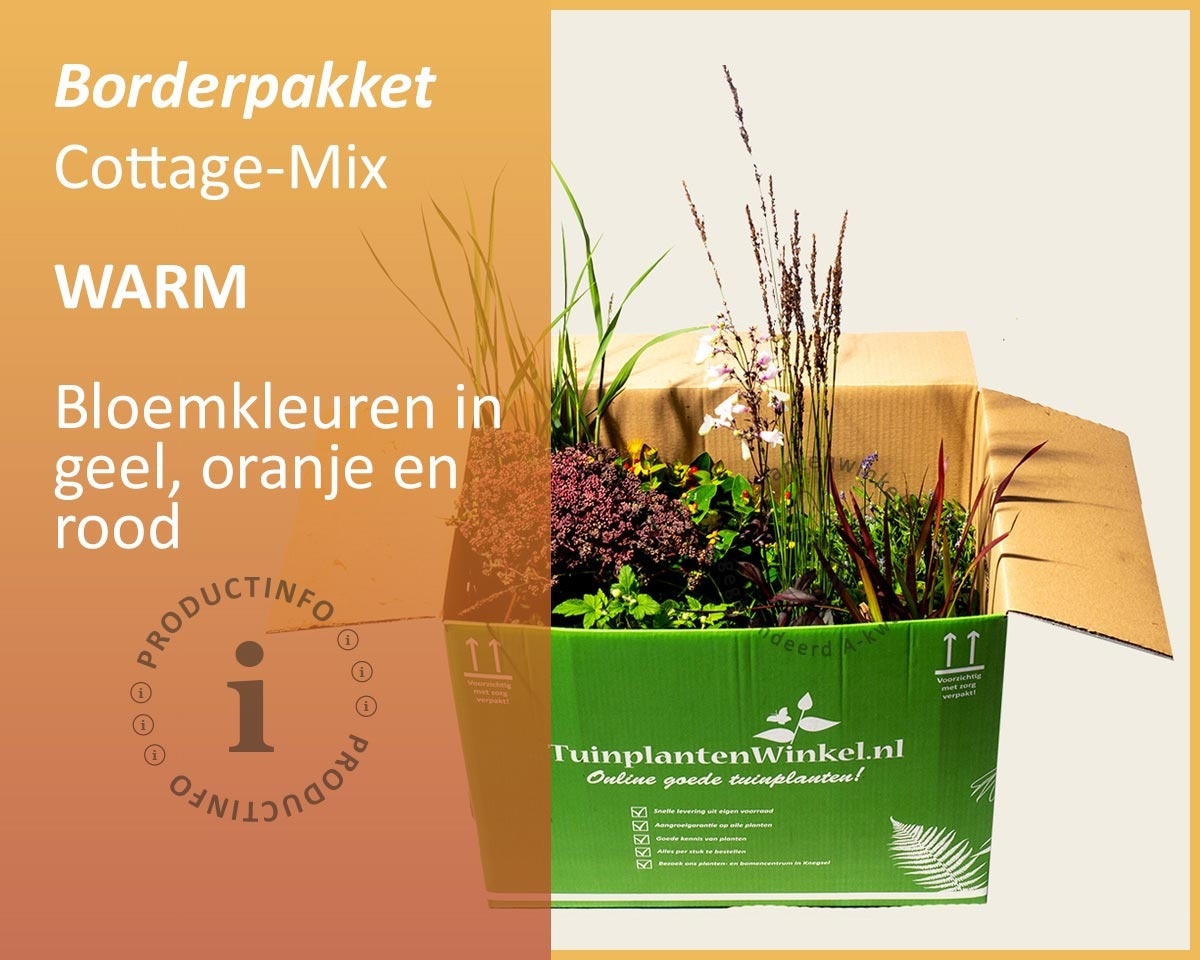 Borderpakket Cottage Mix - Warm