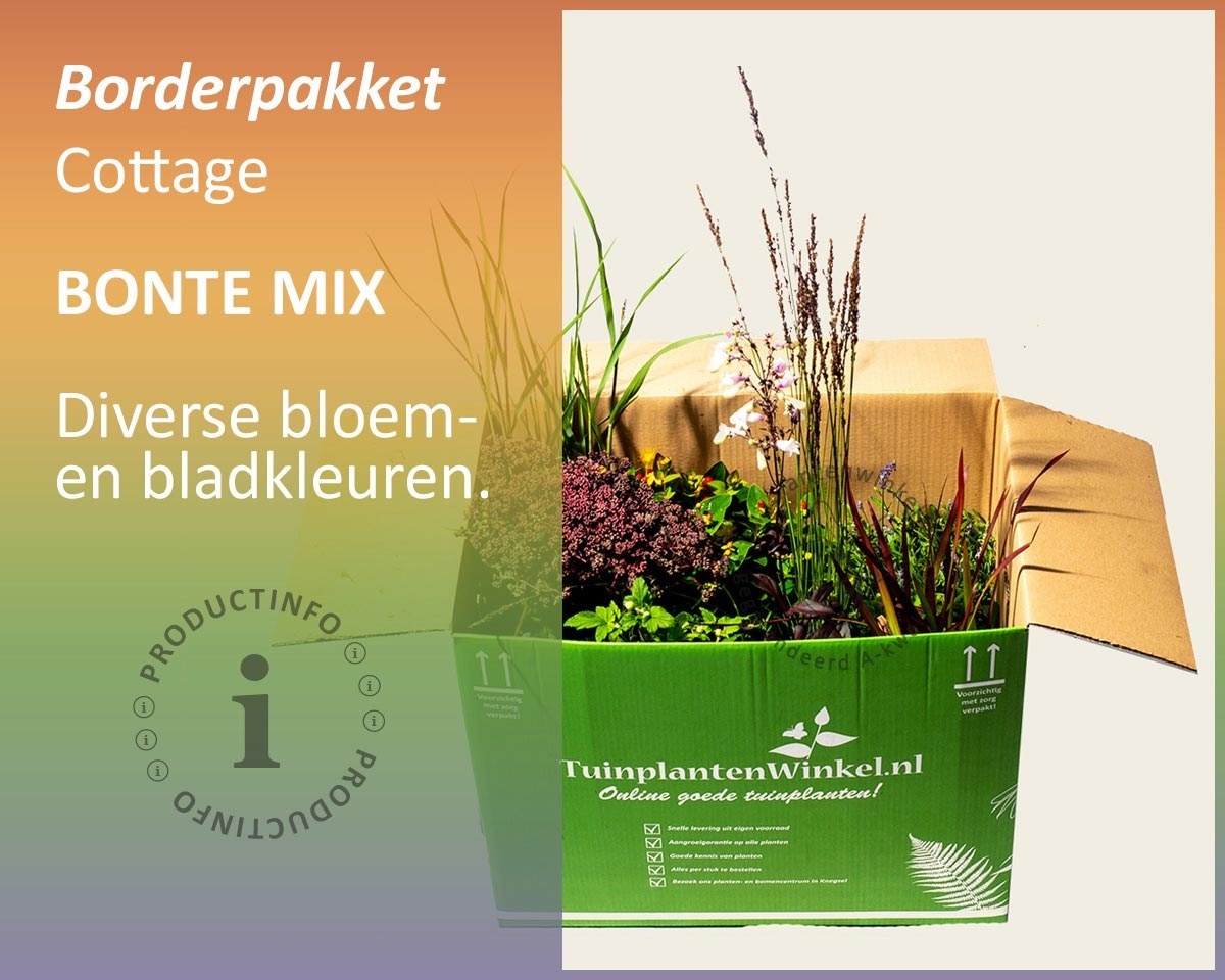 Borderpakket Cottage Mix - Bont