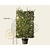 Carpinus betulus - In rek 130x200 cm