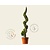 Cupressocyparis leylandii 'Gold Rider' - spiraal