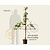 Prunus avium 'Lapins' - lei-vorm