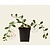 Cotoneaster dammeri