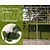 Lei-Groene Beuk - Classic - individueel geen extra's