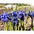 Iris reticulata 'Harmony'