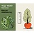 Thuja plicata 'Martin' - kluit