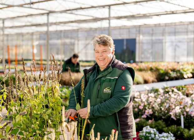Maak kennis met tuinplantenwinkel