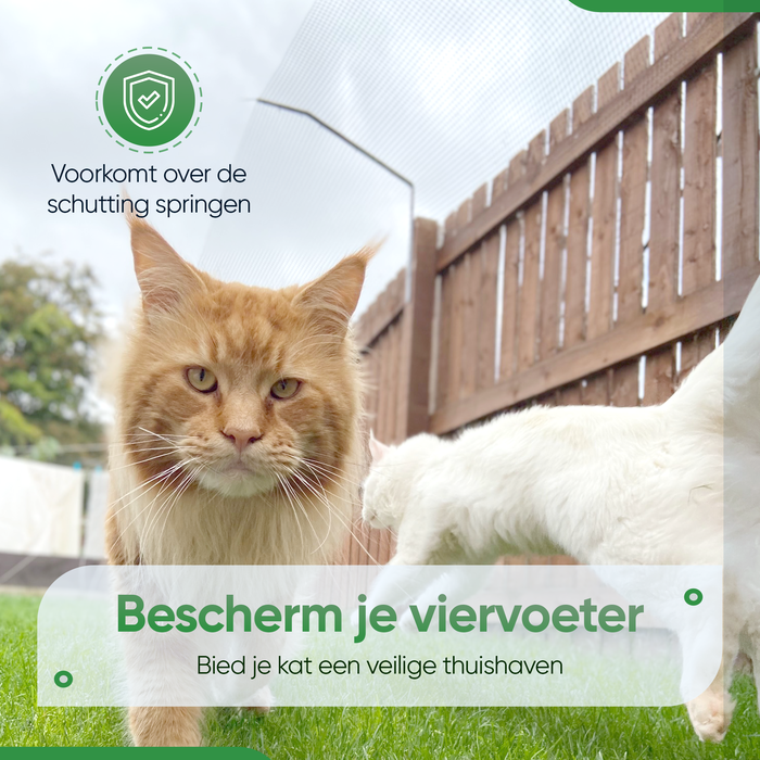 SPUUT Kattengaas 1 x 40 meter inclusief beugels - Voordeelset